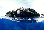 タオ島ダイビングツアーイメージ11