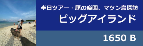 ピッグアイランド・マツン島