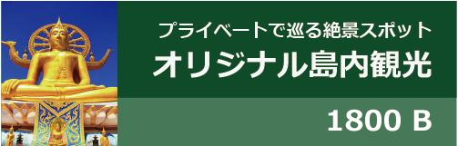 オリジナル島内観光