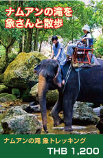 象に乗ってジャングル探検、ナムアンの滝エレファントトレッキング