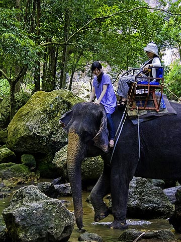 象さんに乗って川へ／ナムアンの滝 トレッキング