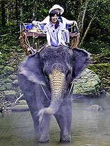 象さんお得意の水遊び